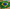 Canga BANDEIRA BRASIL